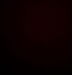 Meet your Posher, Colin